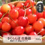 ふるさと納税 尾花沢市 さくらんぼ 佐藤錦 秀Mサイズ 800g 200gx4パック フードパック 2025年産 山形県産