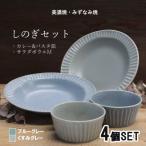 しのぎカレー皿&amp;サラダボウルM各2個
