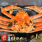 はるか丸が厳選訳あり とれたて冷蔵でお届け