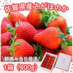 朝摘み当日発送 王様のいちご 1箱400g