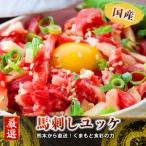 ふるさと納税 合志市 【国産馬刺し】熊本直送 赤身500g+ユッケ500g 合計1kgセット(合志市)