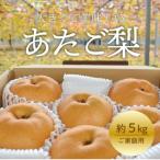 あたご梨 ご 約5kg