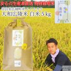 特別栽培米 ひのひかり 5kg