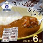 スパイシーカレー辛口 レトルト 300g×6袋