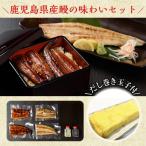 うなぎの炭火蒲焼 1尾