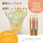 てらぼら農園のこだわり金時しょうがシロップ
