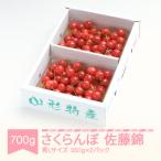 ふるさと納税 村山市 さくらんぼ 佐藤錦 秀Lサイズ 約700g(350g×2パック) バラ詰め 2025年産 山形県産