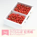 ふるさと納税 村山市 さくらんぼ 紅秀峰 秀Lサイズ 約1kg (500g×2パック) バラ詰め 2025年産 山形県産