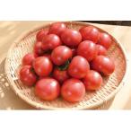 fu.... налог Yoshioka блок каштан рисовое поле теплица сельское хозяйство .. король помидор (2kg коробка ) сельское хозяйство . вода производство большой .. выигрыш!