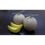 ふるさと納税 田原市 野菜ソムリエ推薦!潮風育ちマスクメロン2玉(3〜4キロ)カラーギフト箱入り7〜8月発送