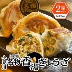 ふるさと納税 香取市 【自家製】小見川名物餃子 25個入×2箱