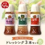 ドレッシング 3本セットB