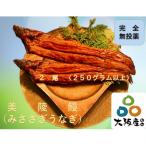 完全無投薬 美陵鰻の蒲焼 2尾