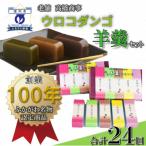 深川銘菓 ウロコダンゴ羊羹コンビセット