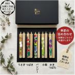 国内産ハゼの実蝋を100%使用 コロー絵入り2本5セット 詰め合わせ