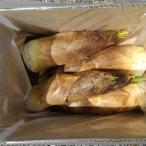 朝掘り生たけのこ 3kg