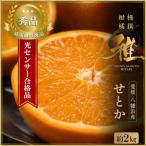 極撰柑橘 光センサー合格品 柑橘の大トロ