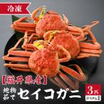食べ切数量 全て地物 冬の味覚 旬のセイコガニ