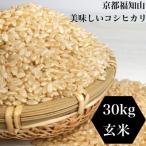福知山産こしひかり 玄米30kg 一般には流通していない特別…