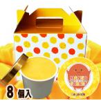 ふるさと納税 小野市 La goccia 自家製マンゴーソルベ90g 贈答用BOX入 8個セット