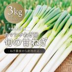 fu.... налог Miyagi префектура kamasichi лук порей магазин .. . лук порей 3kg