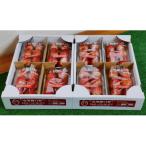 ふるさと納税 大田原市 【朝採り・農園直送(1月~2月収穫・発送)】栃木県産とちあいか　レギュラー270g×4パック×2箱