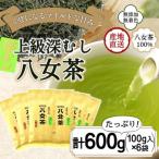 八女茶100% まろやか濃い味 マイルド深むし特上煎茶 100g×6…