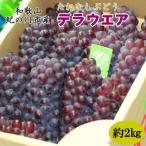 産たねなしぶどう デラウエア 約2kg