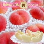ふるさと納税 那智勝浦町 【秀品】和歌山ブランド白桃約2kg! ギフト、贈答品にも! 8月以降発送分