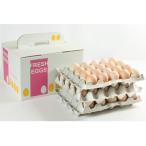 fu.... налог Shizuoka город прекрасный желтый яйцо Sakura 60 шт ( косметика в кейсе )