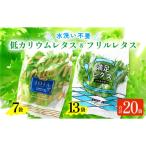 fu.... налог прекрасный . блок [ Fukui префектура прекрасный . блок производство ] низкий калий lettuce &amp; оборка lettuce 20 шт. комплект 