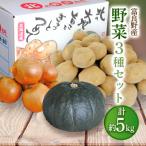 ふるさと納税 富良野市 【先行受付】【2025年10月上旬より発送】富良野野菜 5kgセット(じゃがいも・玉ねぎ・かぼちゃ)