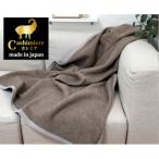 繊維の宝石カシミヤ100% 毛羽部分 毛布