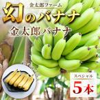 南足柄産金太郎バナナ スペシャル5本セット※数に限りがあり…