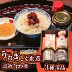10代目渾身のうなぎしぐれ煮詰め合わせ