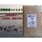 加茂産コシヒカリ かも玄米 真空パック 10kg