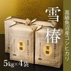 最高級魚沼産コシヒカリ 雪椿 20kg