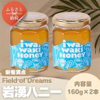 岩湧ハニー 純粋百花はちみつ 160g×2本セット