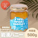 岩湧ハニー 純粋百花はちみつ 500g×1本セット