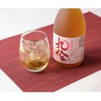 紀州南高梅酒 九絵720ml