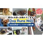 ふるさと納税 幸手市 【愛犬宿泊〜Dog Runs Well(ペットホ…