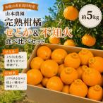 せとか&不知火の味くらべ 約5kg