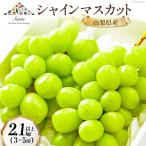 ショッピングふるさと納税 シャインマスカット ふるさと納税 韮崎市 8月中旬より順次発送予定　農家厳選!　山梨県産シャインマスカット約2.1〜2.4kg