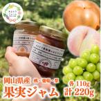 果樹園こだわりの果実ジャム2種入り 計220g
