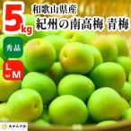 青梅 南高梅 5kg