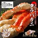 タラバ 脚 ボイル済み 冷凍 シュリンク済み