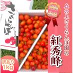 fu.... налог ...[.. сверху вишня .]. превосходящий . есть перевод 1kg роза ..! большой довольство. еда . отвечающий .