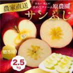 ふるさと納税 豊丘村 【丘の上ファーム】完熟りんご「サンふじ」贈答品2.5kg(7-10玉) 2025年12月発送