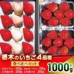 ふるさと納税 矢板市 いちご王国ならでは!栃木のいちご4品種 食べ比べセット