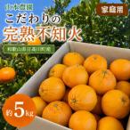 こだわりの完熟不知火 しらぬい 約5kg